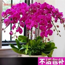 �����m���Ԏ������ﶬ�ͺ��r���ܾGֲ���҃��m������׻��ļ��_��