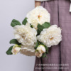 Simulation Flower Coke Mudan Foreign Trade Living Room Decoration Wedding Photography Table Puppet Flower Peony Flower Wholesale