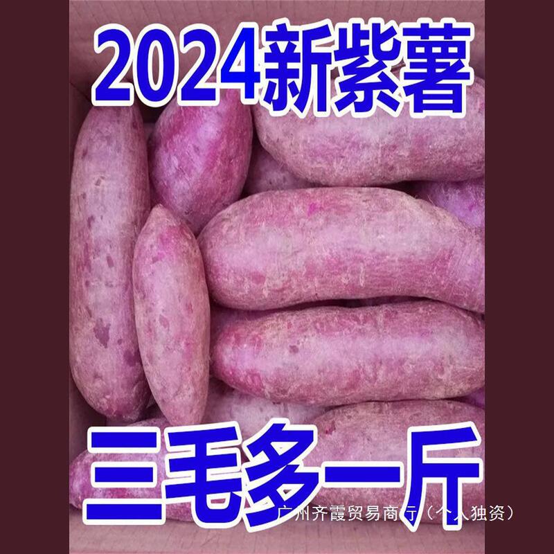 Freshly Dug Purple Sweet Potatoes, Sweet Potatoes, Chestnuts, and Sweet Potatoes from Farms in Hubei