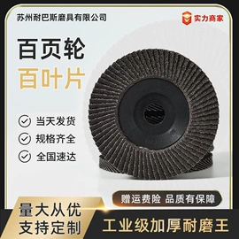 页轮、页片;磨片、切割片;抛光轮