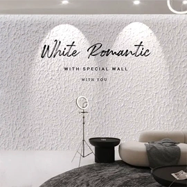 墙纸、壁纸;墙布;壁画