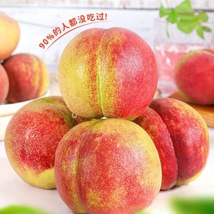 ������������ɽ�|ˮ�������r�r��ˮ�������Fժ����С������؛���T