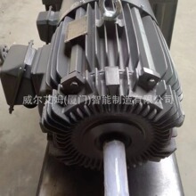 �|Ԫ׃�l늙C EVEVYA 15KW 4P ��ʽB3 IC416 ����s�L�� ���Sֱ��