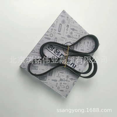 Shuanglong – 1739970192 Engine Belt