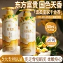 留香控油持久大容量沐浴乳