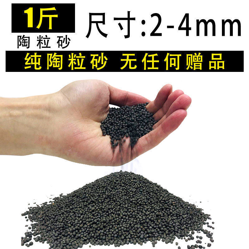 嘘援娉ユ壒鍙戙€愪笉舞枃丸瀀耣ャ€戦櫠绮掔戞枸shoulder a few搴琴爞更曟曟曘昘棌绠 argue