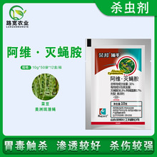 ɽ�|�s���31%���S���؜�ω���˶����ްߝ�ω�~ω�rș���x��