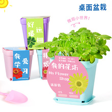 ��ͯ�Nֲ����С�����ֹ�diy�ƌW�������όW���׃��@�S�����l