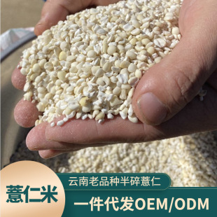 �����Ʒ�N޲���׏S����Ŵ޲��С޲������޲��500�˸�؛�r�aƷ