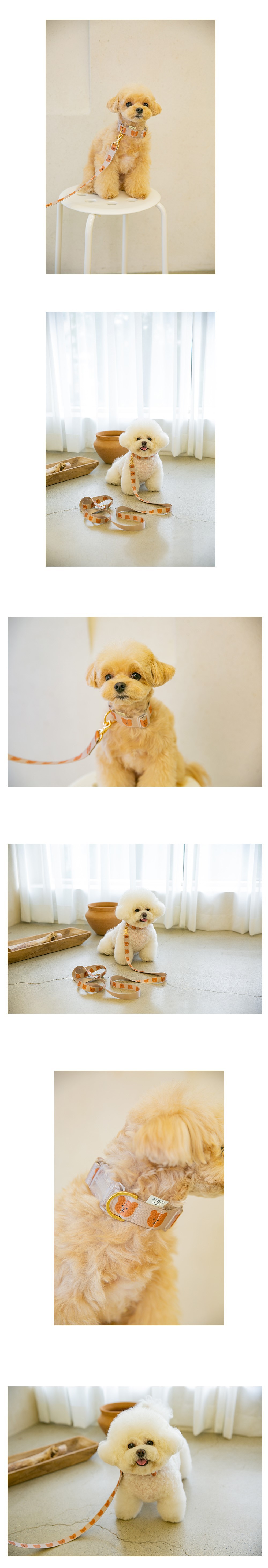 Comfortable Grip Dog Rope