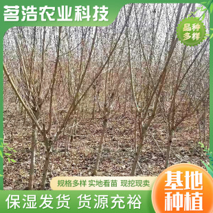 ���l����ӳ˪�t�Ҙ��� �F����������Ե�������޽�������