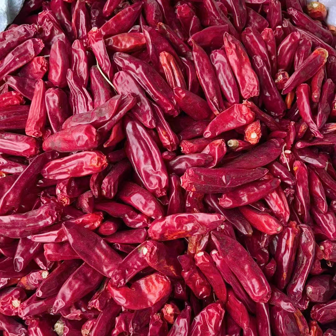 农家子弹头中辣特香500g川菜调料麻辣香锅剪段磨粉干辣椒