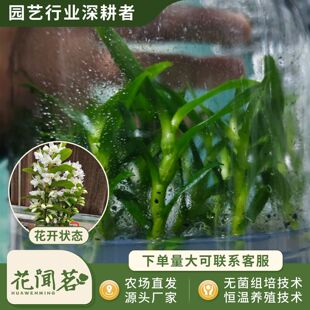 ��ʯ�� 3047ƿ���׳ɻ�M��С�� �҃������Ի�������r��