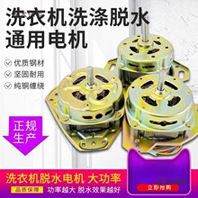 纯铜双桶半全自动洗衣机洗涤排水脱水甩干桶变频马达迷你电麦太保