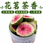 冻干不加糖休闲烘培无花果