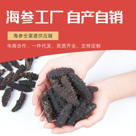 海参;其他水产加工