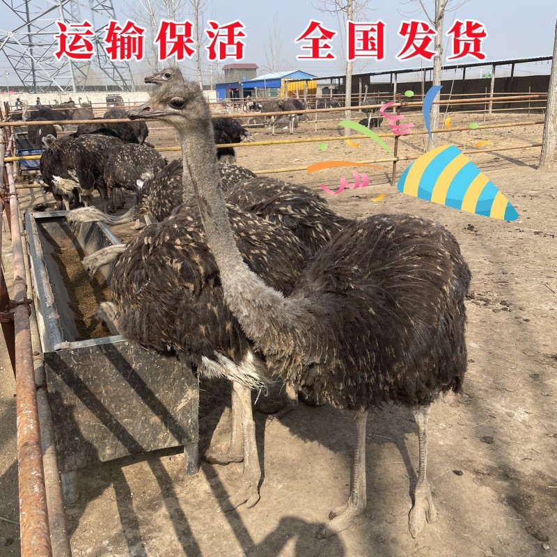 微信图片_20230308091126_副本