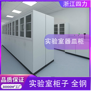 Laboratory Medicine Room Chemical Reagent Cabinet Storage Cabinet Laboratory Utensil Storage Cabinet Acid and Alkali Resistant All-Steel Medicine Cabinet