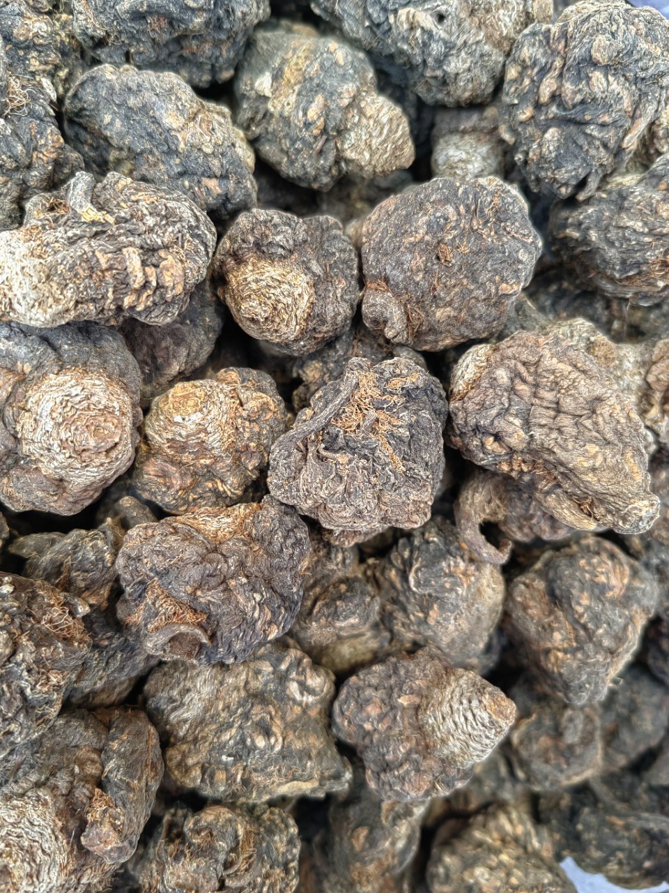 Maca Root (Lepidium meyenii) — Yunnan Black & Yellow Maca Slices, 500g Food Herb overview