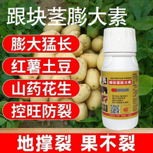 �����ø��o�K����ؼt�������ع��������^ɽș�������o�K���