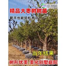 һ�����l�����ش�մ���������玧���������ͥԺ���d�޽�ˮ�̴�