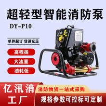 DY-P10�����������ø߉���ˮ�F���C��ʽ�p���~݆�x�ı�