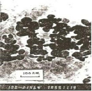 �¿ƍu�� �{���F���i  MnFe2O4  40nm 99.9   �ͺ��F���\�iZnMn(F