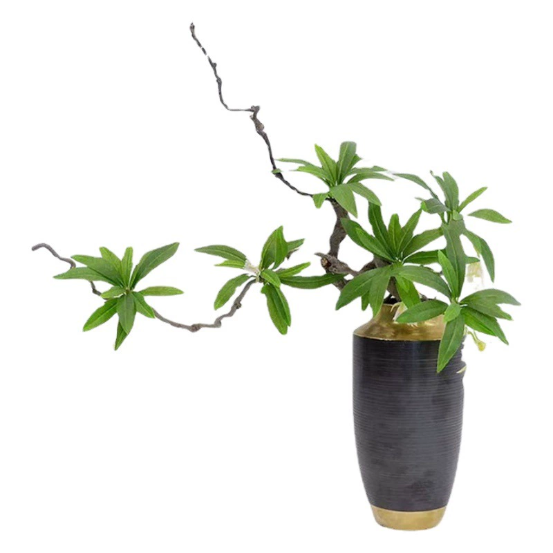 Моделирование североевропейского зеленого растения маленькое свежее ощущение украшения для растений свадебные фотографии пейзажи поддельные цветы