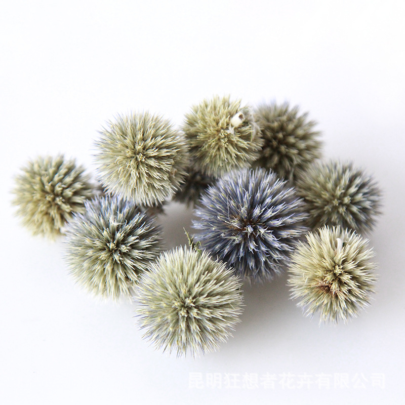 Màu cơ bản của Blue Planet (khoảng 10 trong một túi, khoảng 20 Gram)