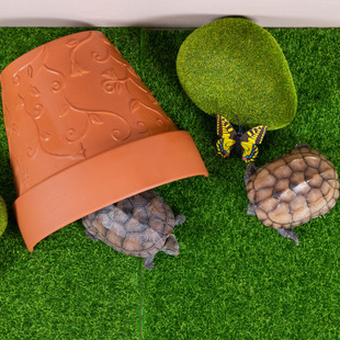 ��������ݕ�̨��̨������ܶ�Ѩ�t����Ƭ���ǿ����~�S�������쾰