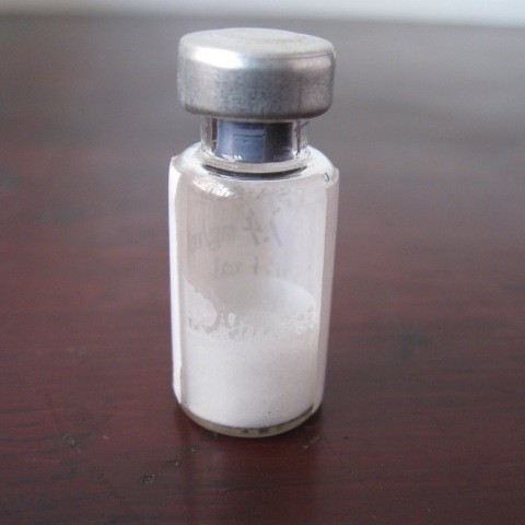 ɽ��С��IgG����-1.0MG