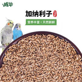 其他小宠用品;鸟笼;鸟食