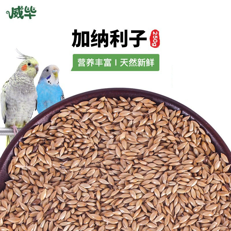 Weibi Baijian Гана Лизи Корм для птиц Кожа тигра Xuan Feng Пион Гидра Попугай Корм для птиц Оптовая торговля