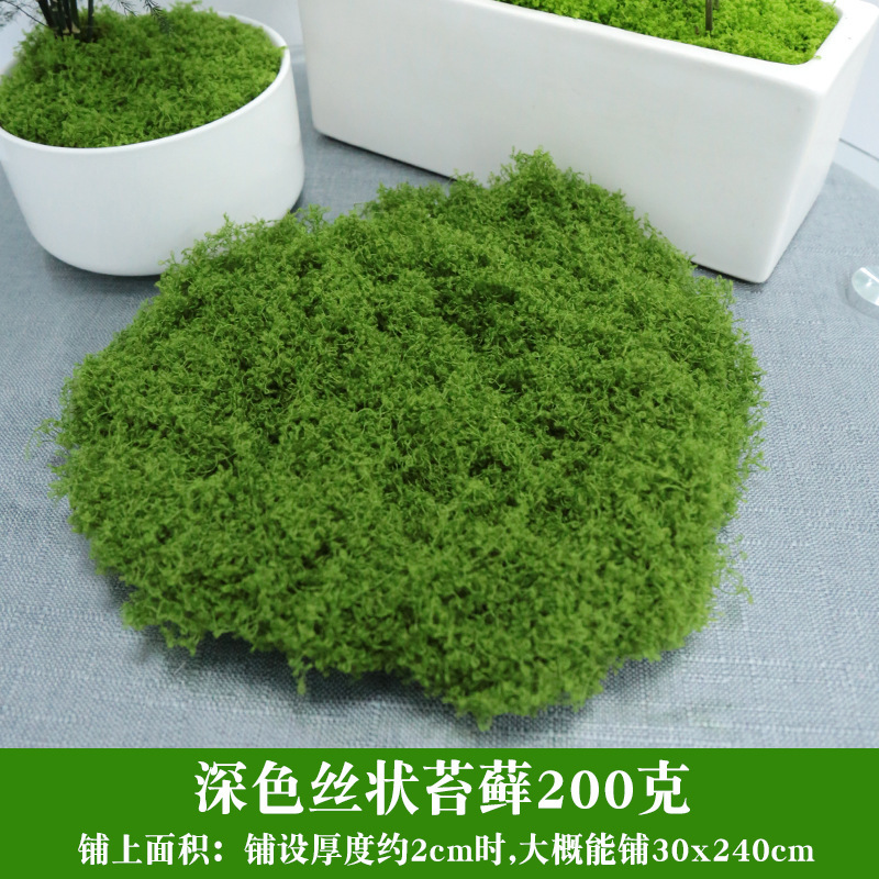 仿真苔藓绿色假青苔背景装饰 植物墙草坪微景观仿真苔藓草皮青苔|undefined