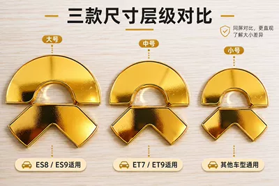 cover with cloisonné enamel, special | Car logo - 26-enamel-designs-for-es8-front-and-rear-golden