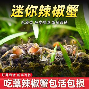 ��������зС�з�^�pз���w����΢���^��ˮ����ˮ�����坍����з