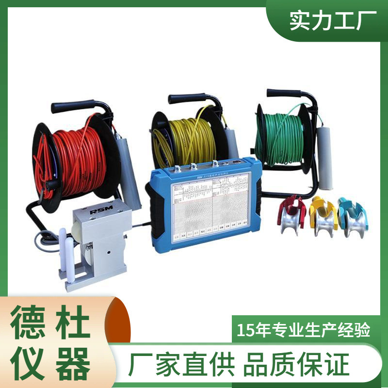 供应RSM-SY6基桩声波检测仪