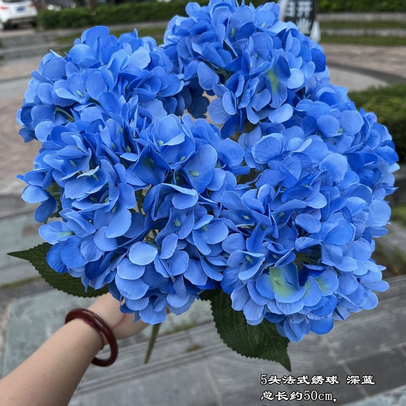 【シミュレーションアジサイ】外国貿易5頭フランスアジサイグリーンフランスアジサイ平が結婚祝いの花卸売りをしている|undefined