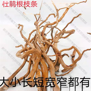 ���N��֦�lˮ ��ľ횸���֦�����ט�֦΢���^�쾰�ٗl��횉�����