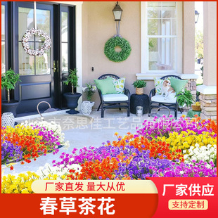 �羳����7�洺�ݲ軨����С�� �Ҿӿ͏d����Gֲ���⻨�@ͥԺ�b�