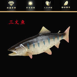 仿真实心海洋动物模型套装 三文鱼玩具模型儿童认知礼物