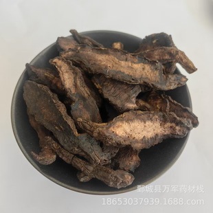 �x���� �f܊��ș������ɢ�b���l ԭ�D���� ���N��ș��500����