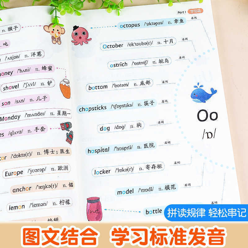 音マーク単語自然スペル単語3-6年生英語音標と自然スペル発音規則表|undefined