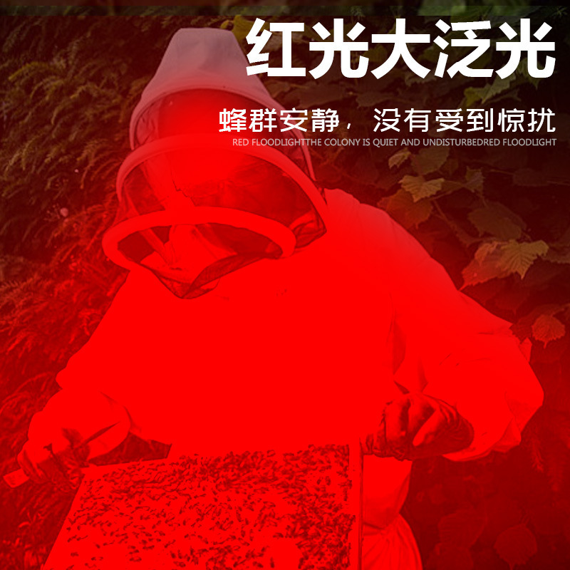 Luz roja apicultura lámpara de cabeza para detectar abejas para tomar miel captura de abejas lámpara de antorcha de cabeza enfoque rojo y blanco doble fuente de luz led