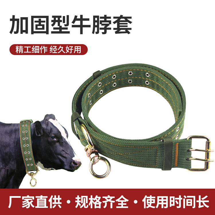 栓牛脖套牛项圈养牛场器械设备母牛笼头育肥牛养殖扣适用多畜种