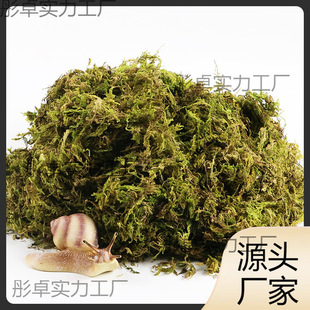 �I�B��������Ҭ������΁ţ�|���}�����x̦�\���������΁ţ��B