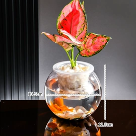 鱼缸;水族箱;猫猫窝/笼/垫