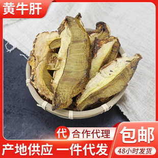 ���l����Sţ�ξ�2�� ţ�ξ� ������ ��Ͼ����������ʳ��