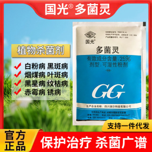 月季黑斑病专用药