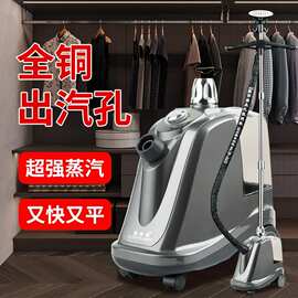 靓丽雅挂烫机商用服装店专用家用蒸汽熨烫机烫衣服立式大功率熨斗